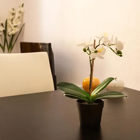 Elegant 2 In The Heart Of Cannes